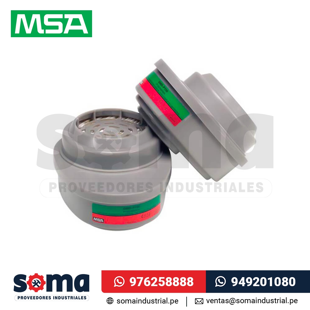 Cartucho Msa 815365 Advantage Gmd + P100